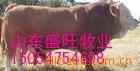 ʢҵӦ400-1000