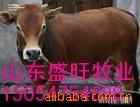 ɽʢҵţǰ