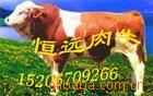 ţ