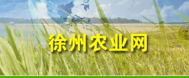 ũҵίԱ