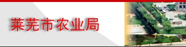 ũҵ