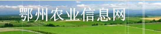 ũҵϢ
