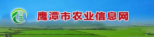 ӥ̶ũҵϢ