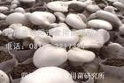 鹽