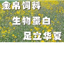 Ӧﵰϣר