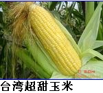 ̨峬ӣƷ