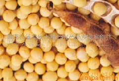 QQδ30.bmp