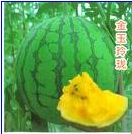 ̨ӣϣ