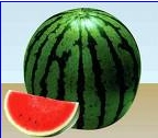 ̣ɹ̡̣