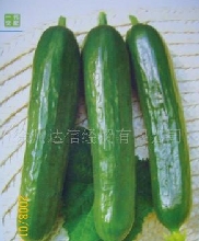 ۴1