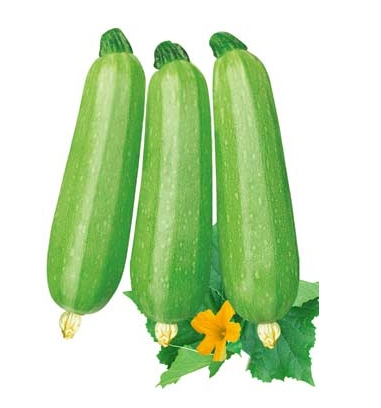 «
