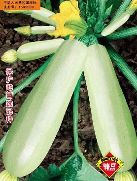  㻨㣬 ƺ