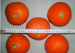 Ϲ