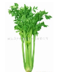 ۲