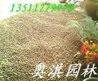ޱ2,뻱35