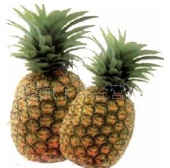 ۲