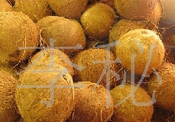 ӦҬ