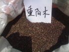 СҶӡľӡ