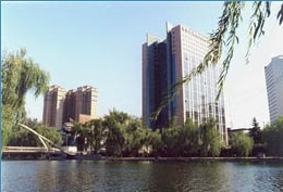 128.jpg