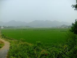 DSCF9101.JPG