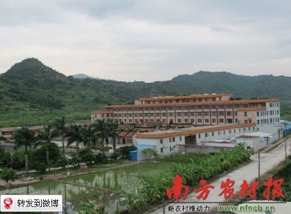141.jpg