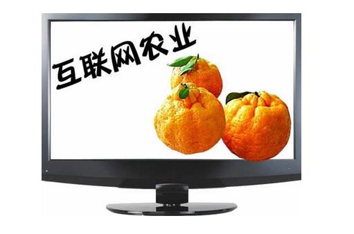 -1-150Z616415L09.jpg