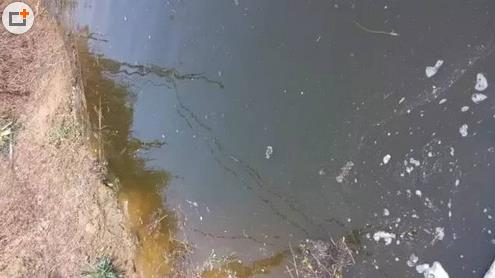 360ͼ20150701163627161.jpg