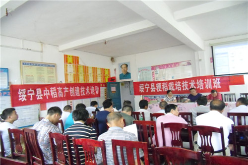 4  ѵֳ.JPG