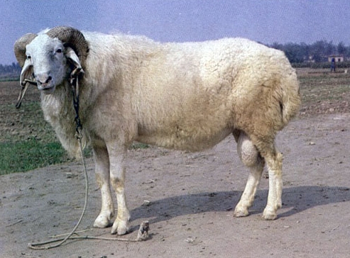 18.jpg