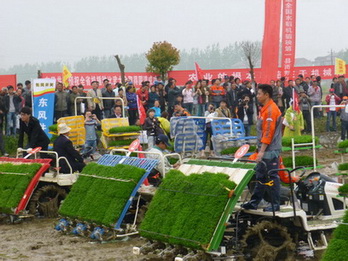 P1100295.JPG