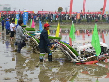 P1100300.JPG