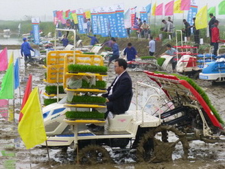 P1100221.JPG