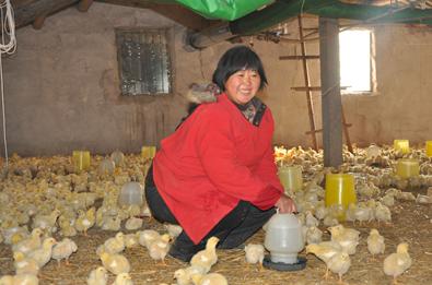 截图1294119652.jpg 截图1294119652.jpg