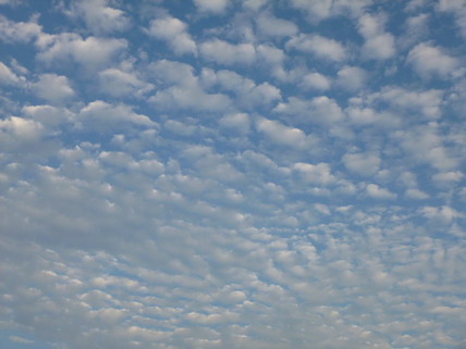 P1080467.jpg