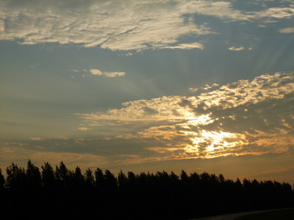 P1080475.jpg