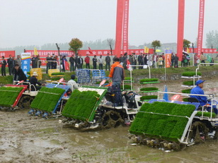P1100233.JPG