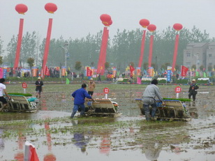 P1100302.JPG