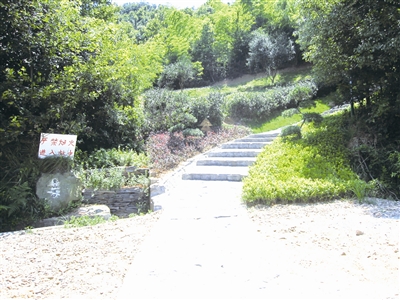 112.jpg