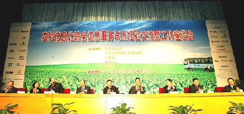 115.jpg