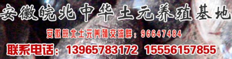 360ͼ20150906153733534.jpg