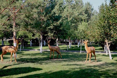 Ƭ 0430.jpg